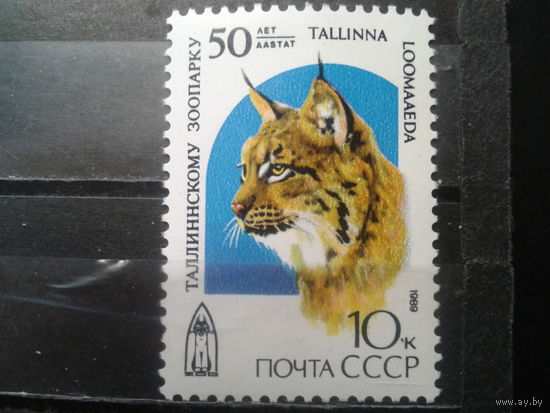 1989 Таллинский зоопарк, рысь**