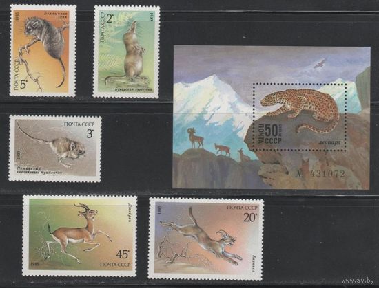 Марки СССР 1985 год. Животные. Полная серия из 5 марок+ 1 блок. Чистые. 5537-5542.