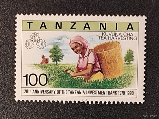 Танзания: 1м сбор чая