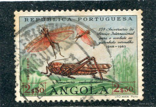 Ангола. Португальская колония. Борьба с саранчой
