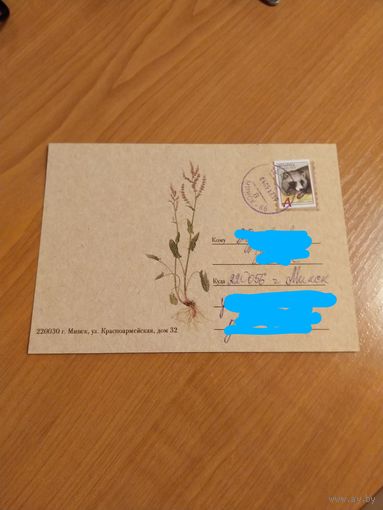 Беларусь открытка флора цветы