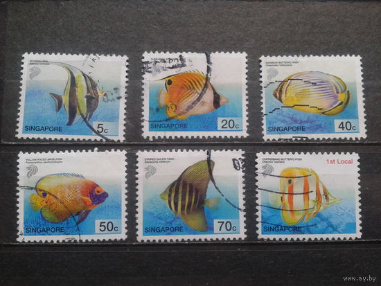 Сингапур, 2001. Морские рыбы