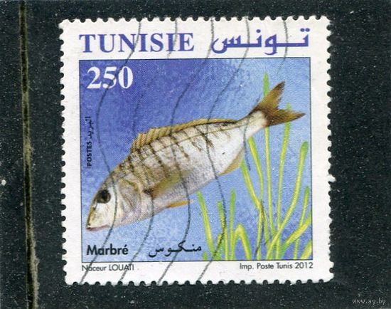 Тунис. Фауна. Рыбы