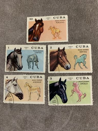 Куба 1972. Породы лошадей. Полная серия