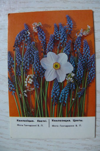 Календарик, 1988, Цветы.