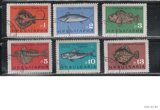 Болгария-1965, (Мих.1542-1547),    гаш. , Фауна, Рыбы, (полная серия)