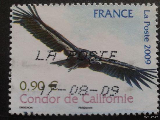 Франция 2009 кондор