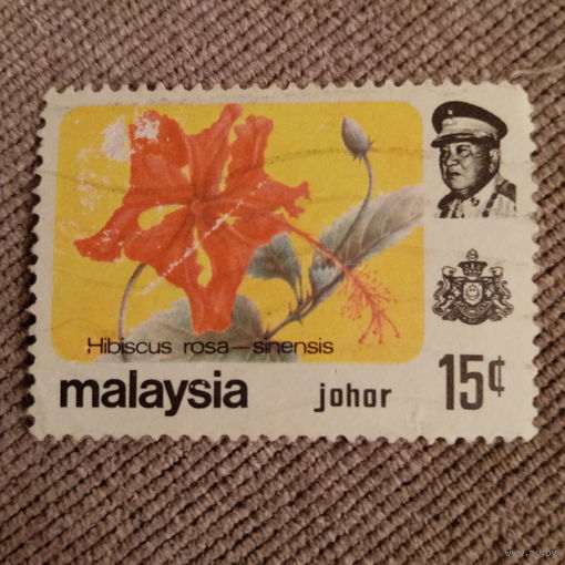 Малайзия. Флора. Гибискус