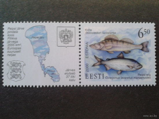 Эстония 2000 Рыбы, на купоне карта
