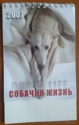 Собачья жизнь. Настольный календарь 2007 г