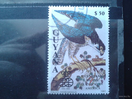 Гайяна 1991 Хищная птица к 500-летию открытия Америки Михель-2,5 евро гаш