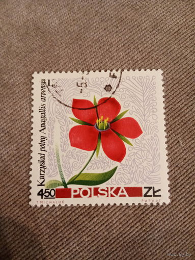 Польша 1967. Цветы. Anagallis Arvensis