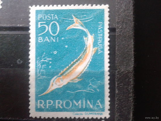 Румыния 1957 Осетр**