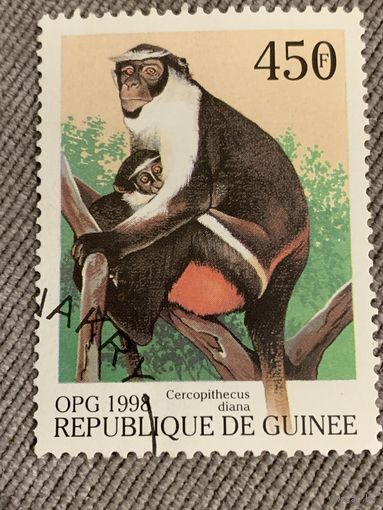 Гвинея 1998. Приматы. Марки из серии