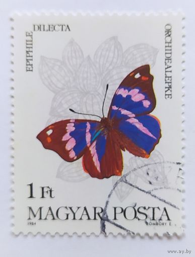 Венгрия 1984, бабочка