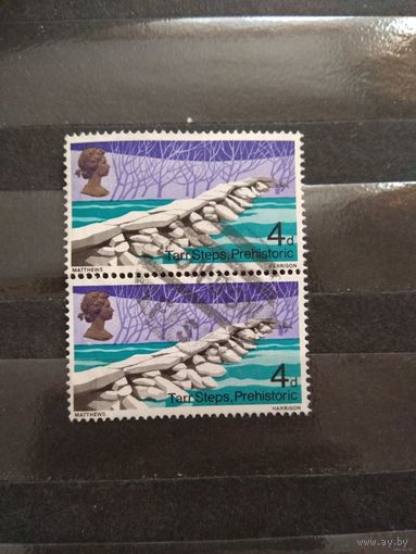 Великобритания пара марок красивое гашение флора (4-12)