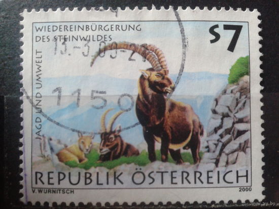 Австрия 2000 Горный козел Михель-1,5 евро гаш