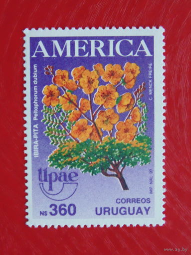 Уругвай. Флора