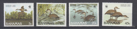 Фауна. Утки. Багамы. 1988. 4 марки (полная серия). Michel N 672-675 (25,0 е).