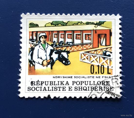 Албания 1977 год Сельское Хозяйство Животные Архитектура Социалистическая Трансформация Деревень Mi:1907 Гашеная