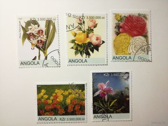 Ангола 2000. Цветы