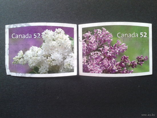 Канада 2007 цветы полная серия