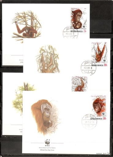 КПД Индонезия 1990 WWF Фауна Орангутан