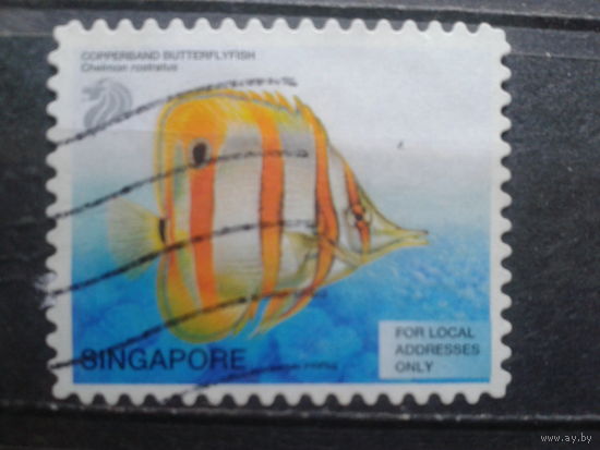 Сингапур, 2001. Рыба