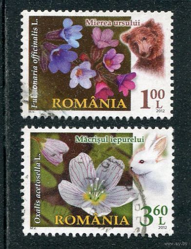 Румыния. Цветы и фауна