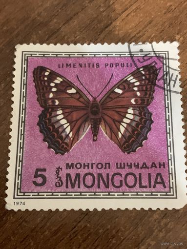 Монголия 1974. Бабочки. Limenitis populi. Марка из серии