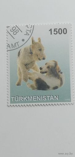 Туркменистан 1998. Собаки