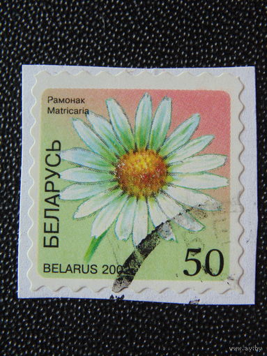 Беларусь 2002 год. Флора.