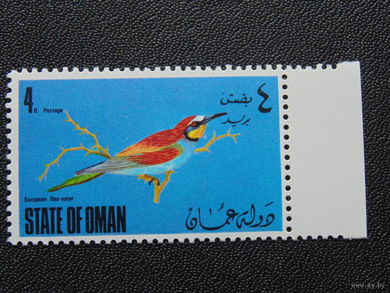 Оман. Птицы.