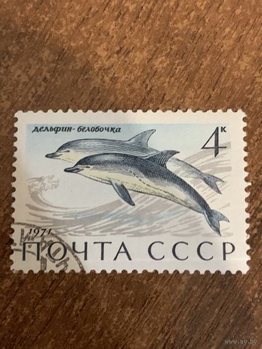 СССР 1971. Дельфин-белобочка. Марка из серии