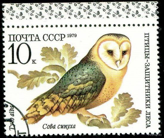 Птицы СССР 1979 год 1 марка