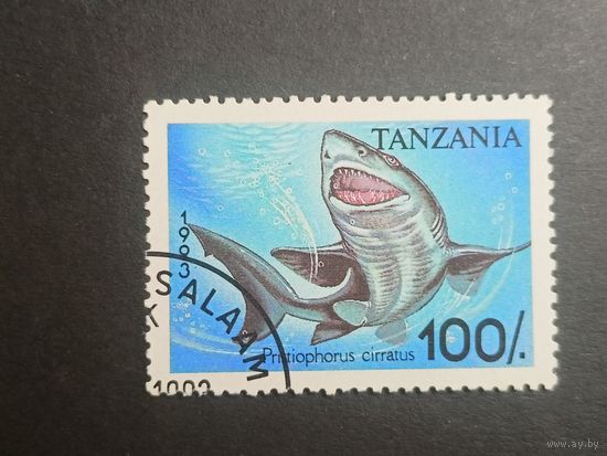 Танзания 1993. Акулы