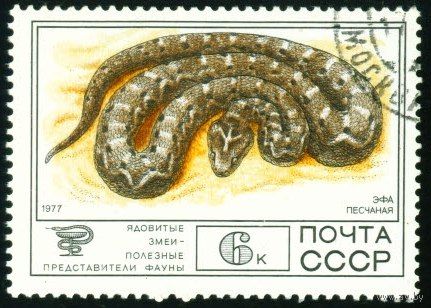 Фауна СССР 1977 год 1 марка