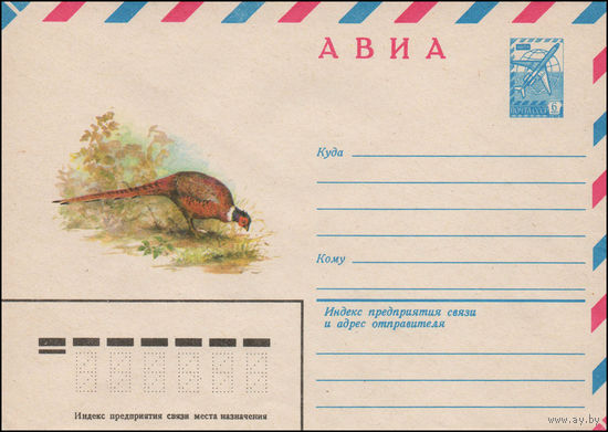 Художественный маркированный конверт СССР N 14289 (30.04.1980) АВИА  [Фазан]