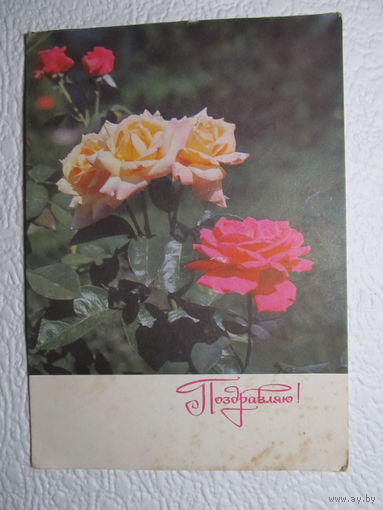 Почтовая карточка Поздравляю!,1970,фото Рязанцева,подписана,прошла почту-408