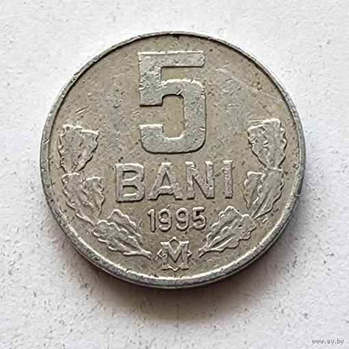 Молдова 5 бань 1995