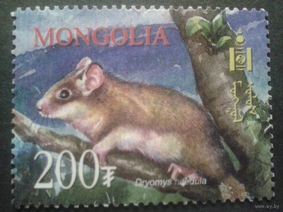 Монголия 2003 фауна