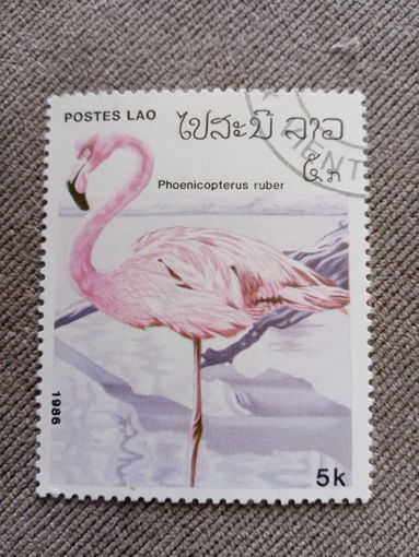 Лаос 1986. Фауна. Фламинго