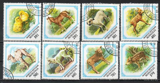 Дети животных Монголия 1982 год серия из 8 марок