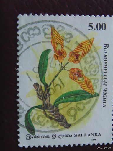 Шри-Ланка 1994 г. Цветы.