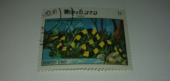 Лаос 1984. Рептилии