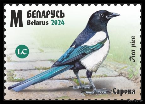 2024г Беларусь MNH  "Птицы Беларуси. Врановые"