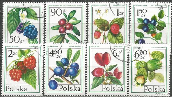 Польша. Лесные ягоды. 1977г. Mi#2487-94. Серия..