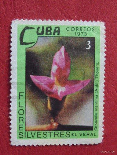 Куба 1973 г. Цветы.