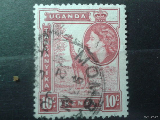 Кения Уганда Танганьика 1954 Королева, жираф 10с