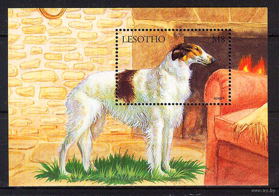 1999 Лесото. Собака